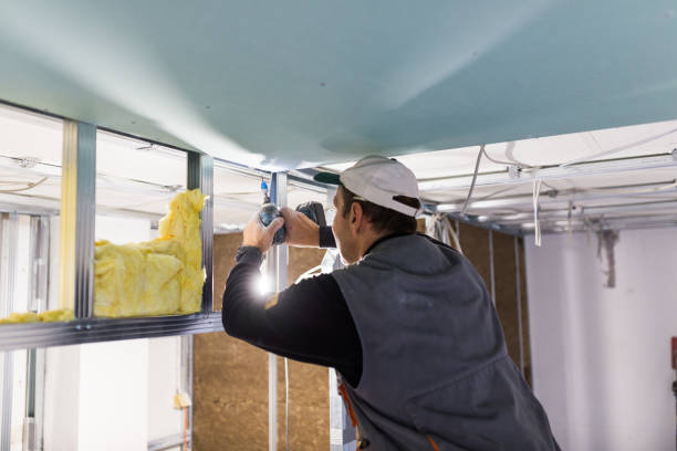 Best Reflective Insulation  in Porter Heights, TX